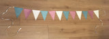 Gender Reveal Party in a Packet