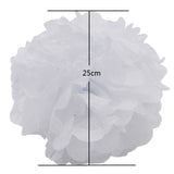 1Set Tissue Paper Tassels and Pom poms